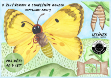 Hračkolka | Karty do divadélka Kamishibai | O žluťáskovi
