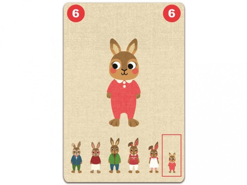 DJECO | Karetní hra | Familou
