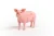 Schleich | Prase