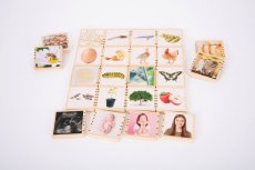 TickiT Dřevěné čtverce Životní cyklus