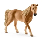 Horse Club