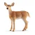 Schleich | Laň jelena běloocasého