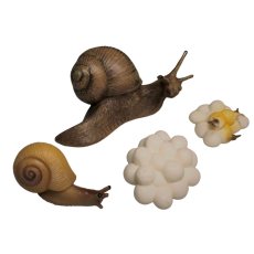 ANIMAL LIFE - Životný cyklus - Slimák