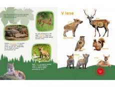 Moje velká kniha Zvuky jara