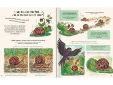 Zpomal a rozhlédni se