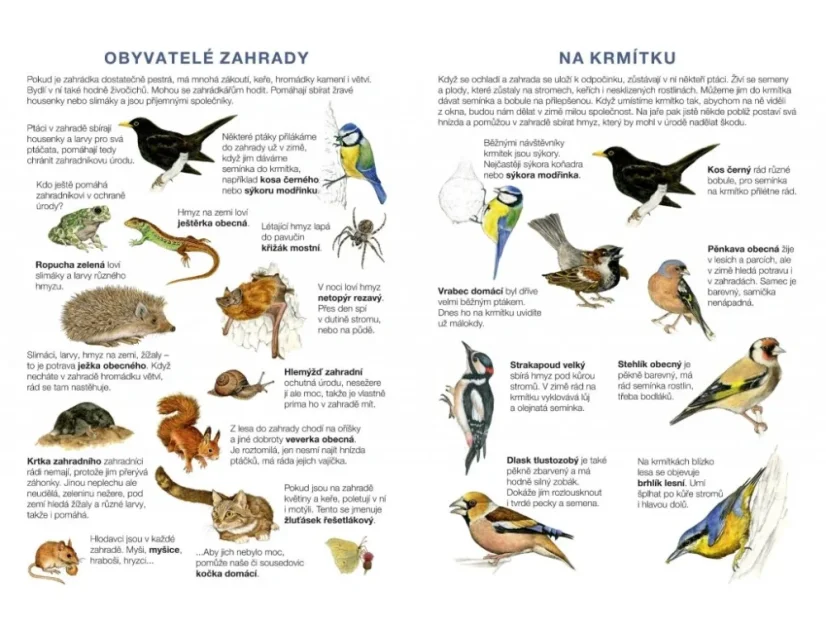 BETEXA Začínáme vystřihovat - Zahrada