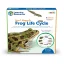 Learning Resources | Veľký magneticky životný cyklus | Žaba