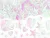 PARTYDECO Párty Confetti Narval, duhové, 23g