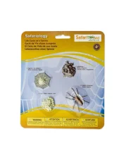 Safari Ltd. - Životní cyklus - Pavouk