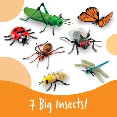 Learning Resources | Jumbo Insects