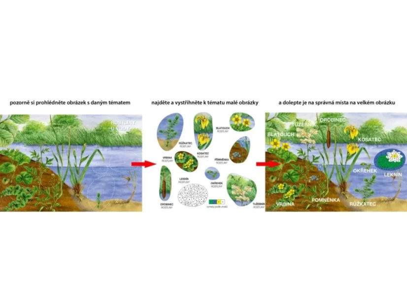 BETEXA Začínáme vystřihovat - U vody