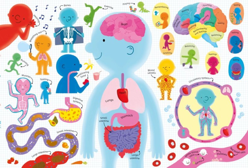Usborne Book and Jigsaw Human Body
