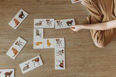 Velké domino - Chytrá opička - Mláďátka ze statku a počty