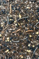 Playsense | Mravenisko - zmyslový mix