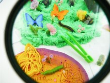 Hmyzie stredny zmyslobox