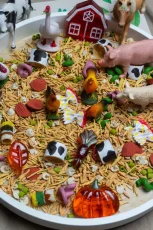 Playsense | Farma - zmyslový mix