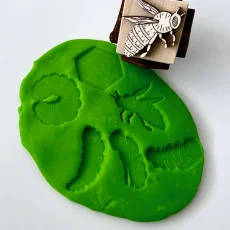 Vývojový cyklus včely - obtiskávací kostka