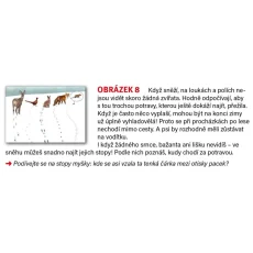 pasparta | Jak žijí zvířata v zimě