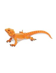 Safari Ltd. - Figúrka - Agama fúzatá