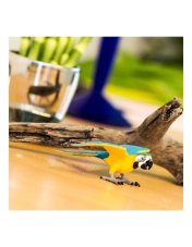 Safari Ltd. - Figurka - Ara ararauna