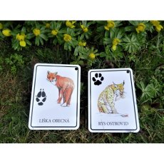 Výukové karty LESNÍ ZVÍŘÁTKA