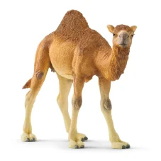 Schleich - Velbloud