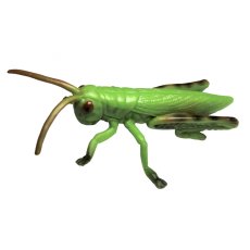 ANIMAL LIFE - Životný cyklus - Kobylka