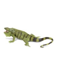 Safari Ltd. - Figúrka - Leguán zelený