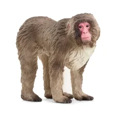 Schleich | Makak červenolící