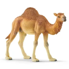 Schleich | Velbloud
