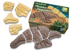 Yellow Door | kostry Pliosaur & Stegosaurus