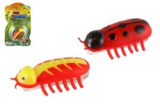 Crazy Insect | Brouk