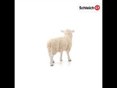Schleich - Ovce