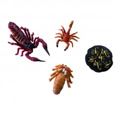 ANIMAL LIFE - Životný cyklus - Škorpión