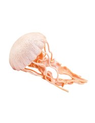 Safari Ltd. - Figúrka - Medúza