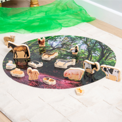 TickiT Dřevěné bloky - Domácí zvířata 15 ks