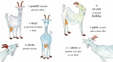 ALBATROS | Nenažraná koza