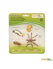 Safari Ltd. - Životní cyklus - Komár