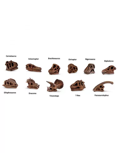 Safari Ltd. - TUBA - Lebky dinosaurů