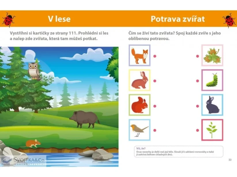 Svojtka&Co Můj velký sešit Montessori objevuj svět