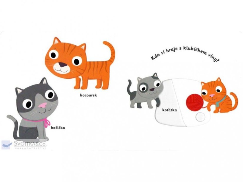 MiniPEDIE Objevujeme svět! Domácí mazlíčci