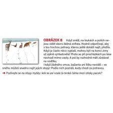 pasparta | Jak žijí zvířata v zimě