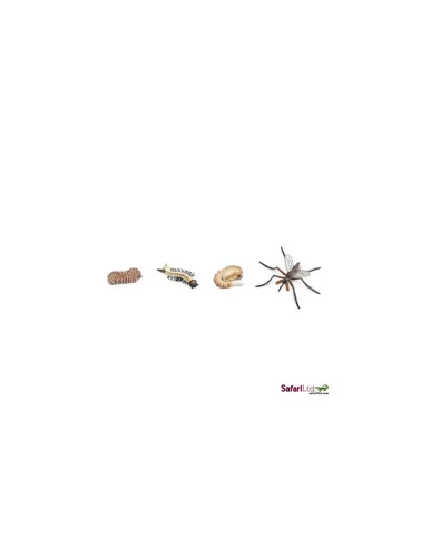 Safari Ltd. - Životní cyklus - Komár