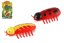 Crazy Insect | Brouk