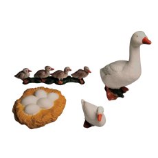 ANIMAL LIFE - Životný cyklus - Husa