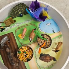 Farma – Podložka do PlayTray