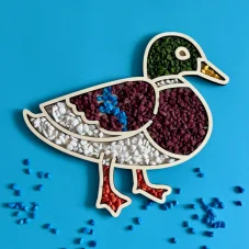 Kachna/kačer - tác pro smyslové hraní