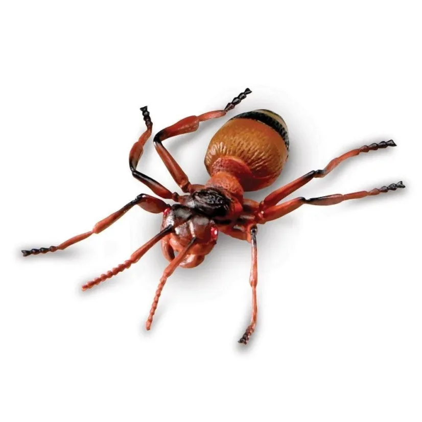 Learning Resources | Jumbo Insects