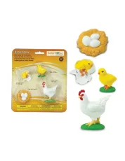 Safari Ltd. - Životní cyklus - Kuře