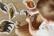 Dětské puzzle - Chytrá opička - Zvířátka z českého lesa